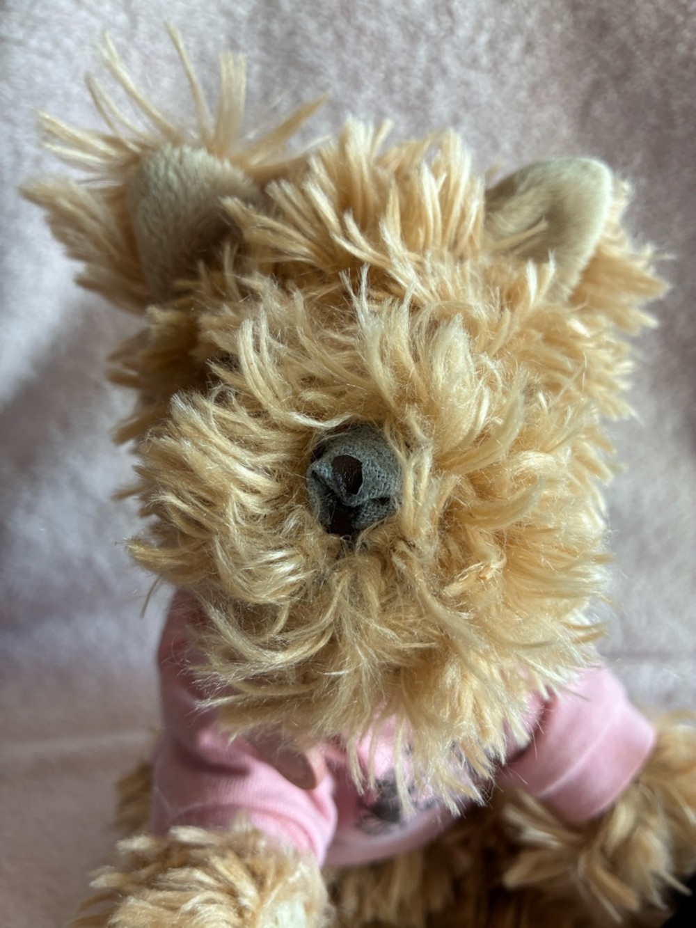 Juicy Couture - Juicy Doggy Rare 2006 Yorkie Plush Dog - Picture 10 of 16